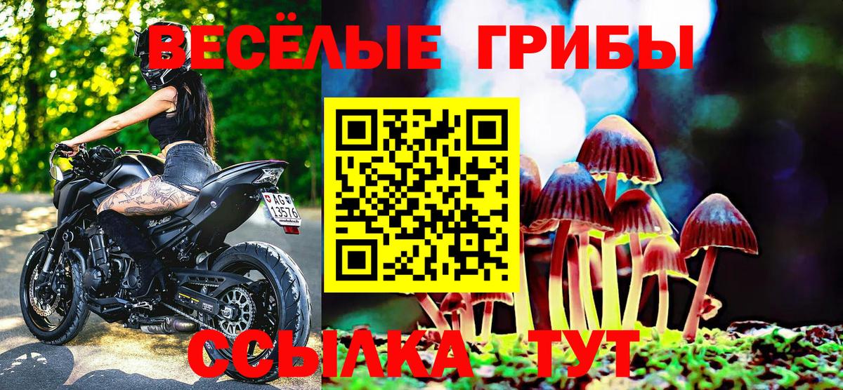 Псилоцибиновые грибы прущие грибы Ухта